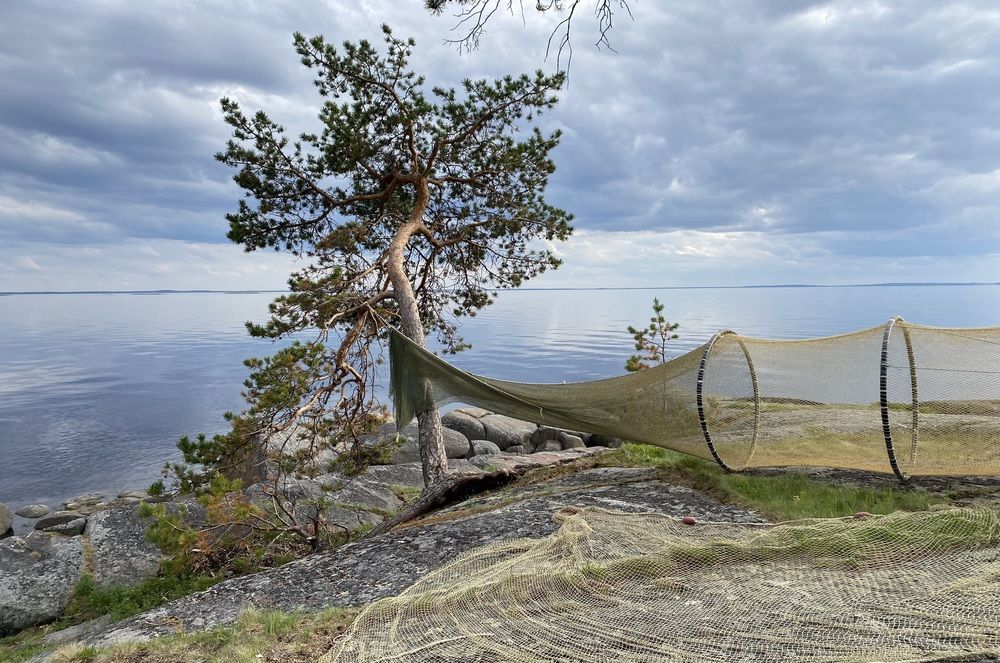 На островах Белого моря