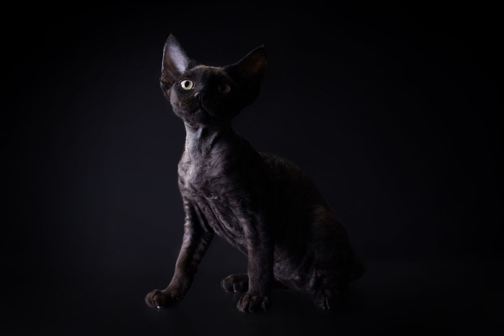 Photograph by Стрижаченко Инга