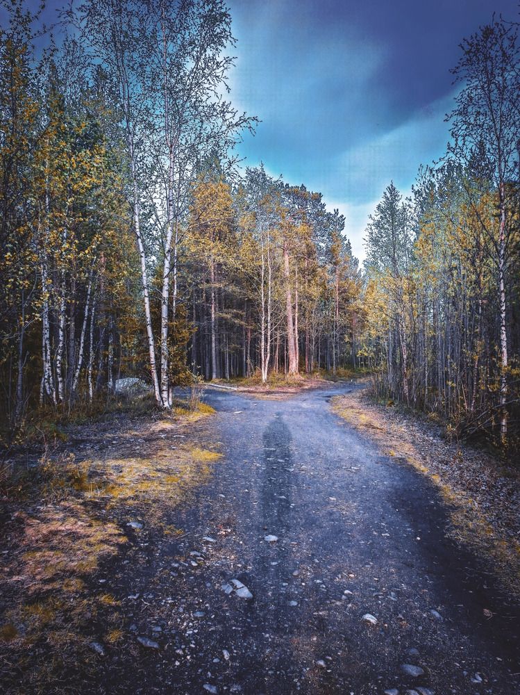 Осенняя дорога