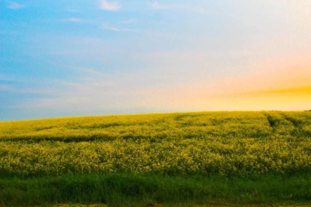 Photograph by Арина Новицкая