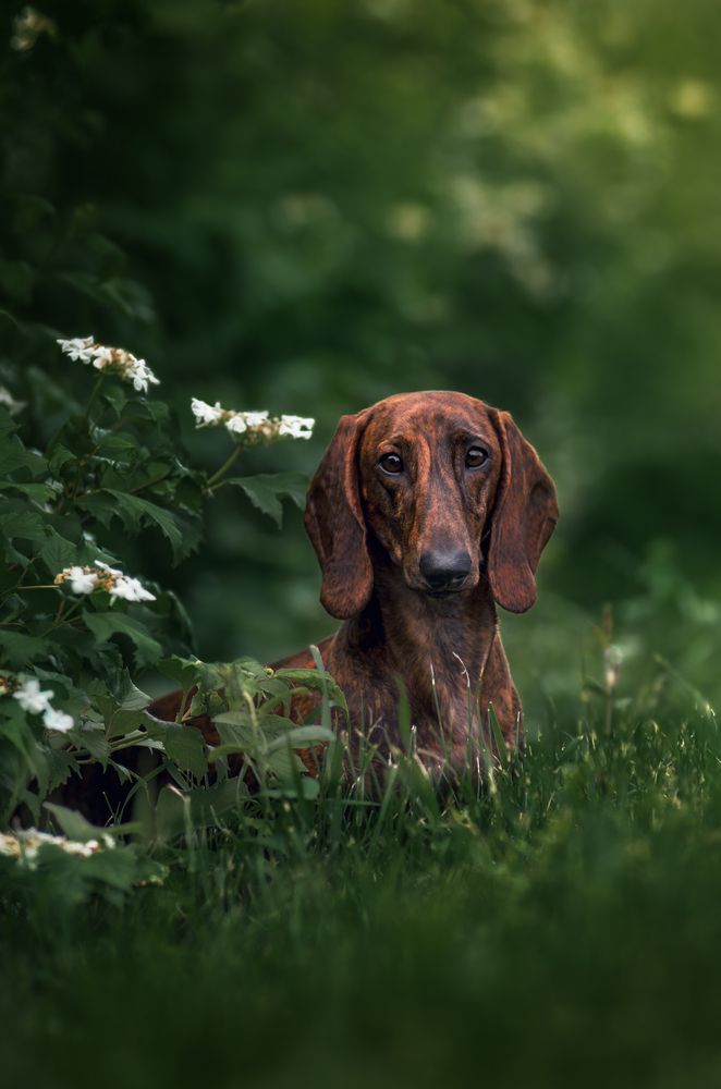 Photograph by Ольга Новикова