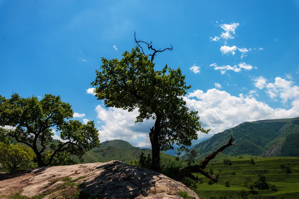 Фотография автора Маргарита Матвеенкова