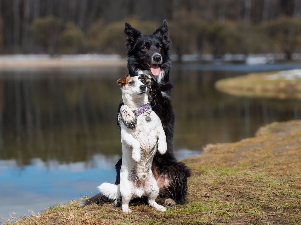 Photograph by Борис Полтавец