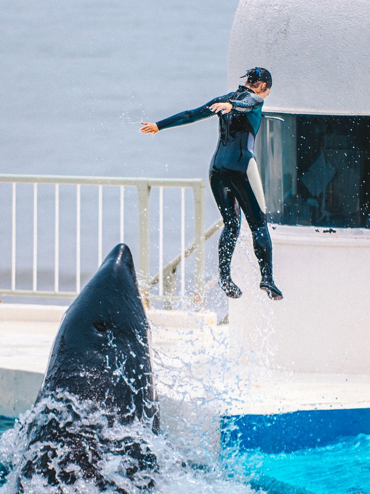 Фотография автора Uesan Aliace