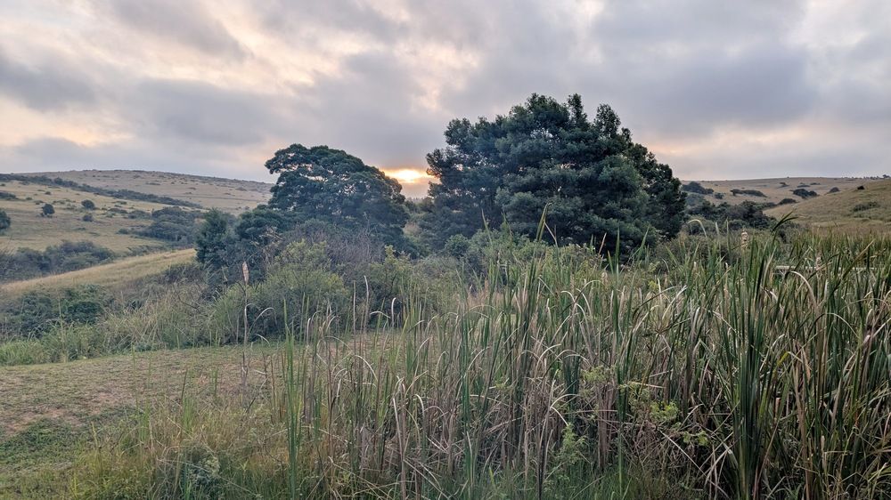 Photograph by Nico Ebersohn