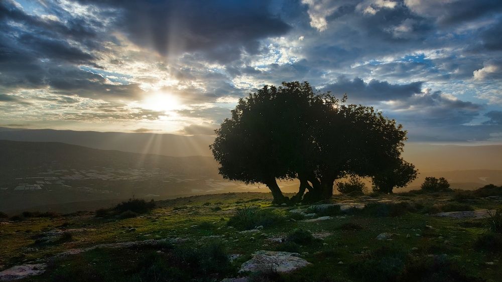 Photograph by Abdallah Khader