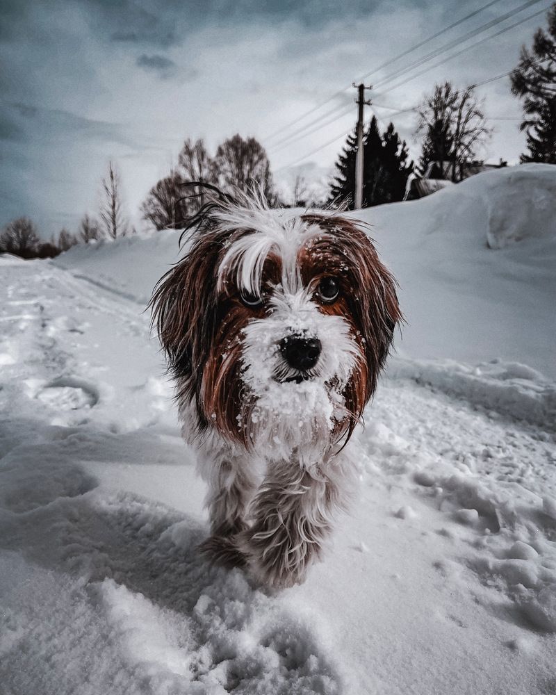 Photograph by Александр Тихонов