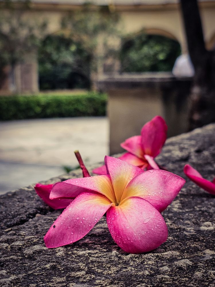 Photograph by Сергей Кесаев