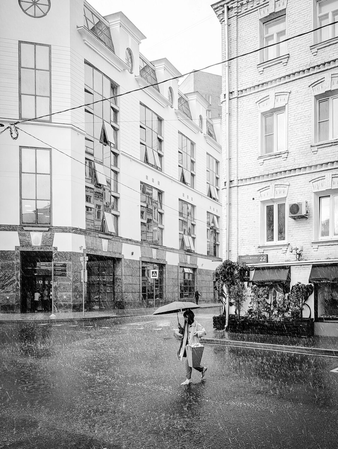 Photo #12276845