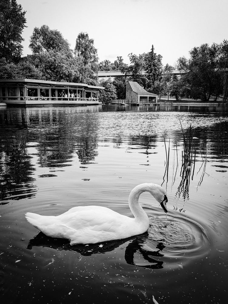 Photograph by Антон Огородов