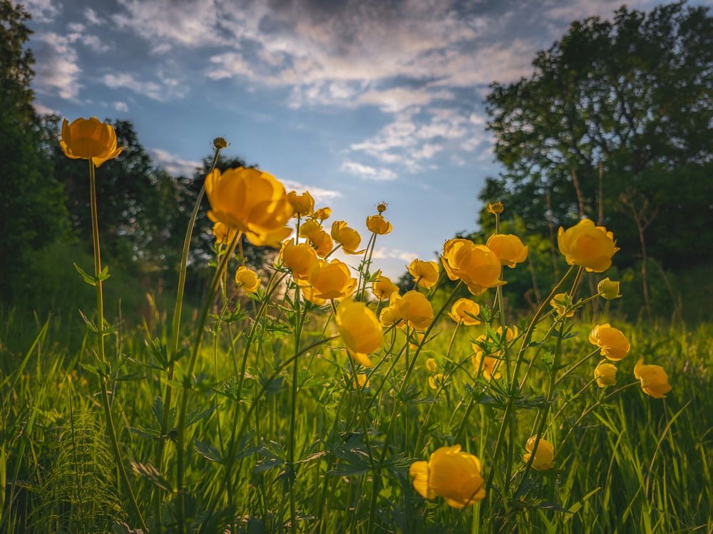 Photograph by Кирилл Сидоров