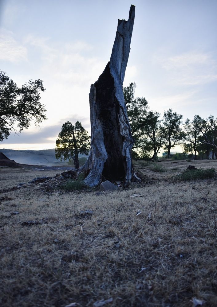 Photograph by Юлия Климова