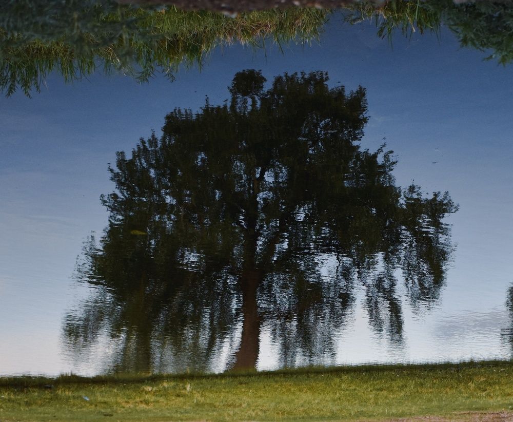 Photograph by Юлия Климова