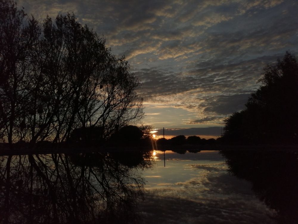 Photo #12276969