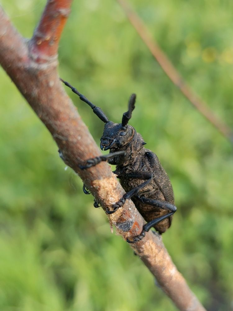 Photograph by Кондрашова Светлана