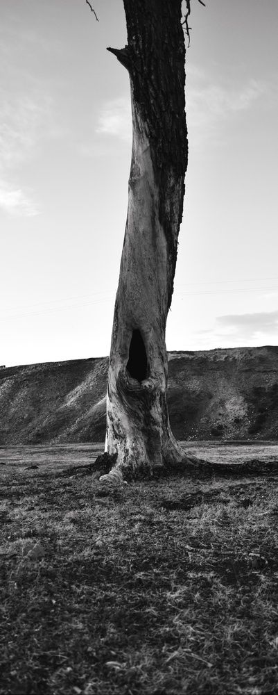 Photograph by Юлия Климова