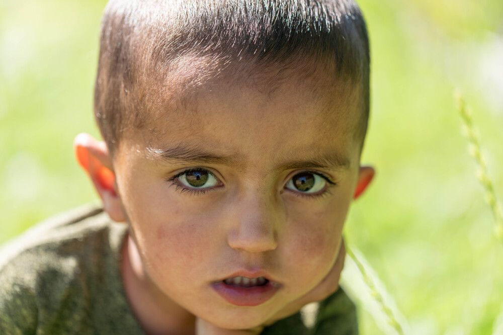 Фотография автора SAJJAD MAHMOOD