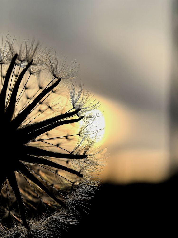 Photograph by Валентина Фомичёва