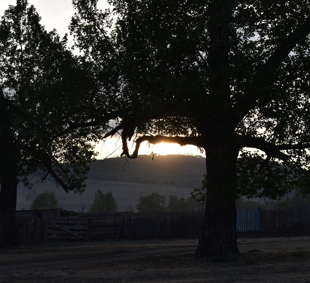 Photograph by Юлия Климова