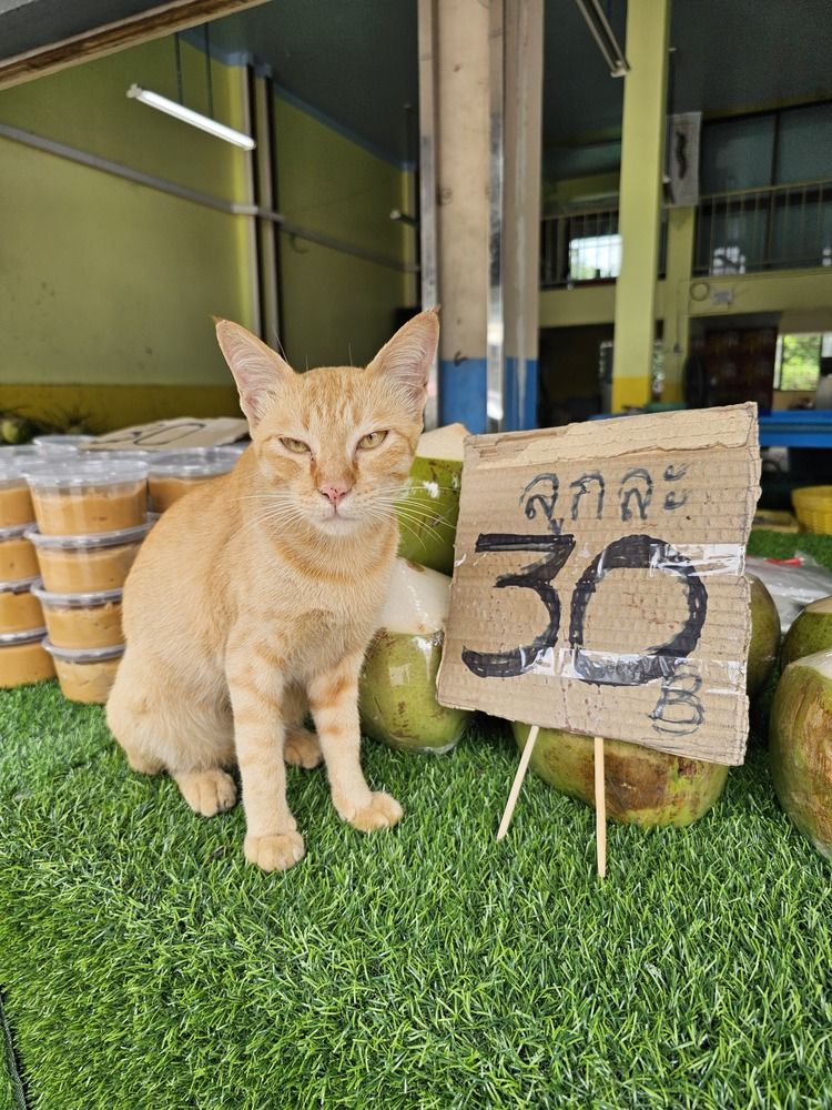 Photograph by Вадим Богатиков