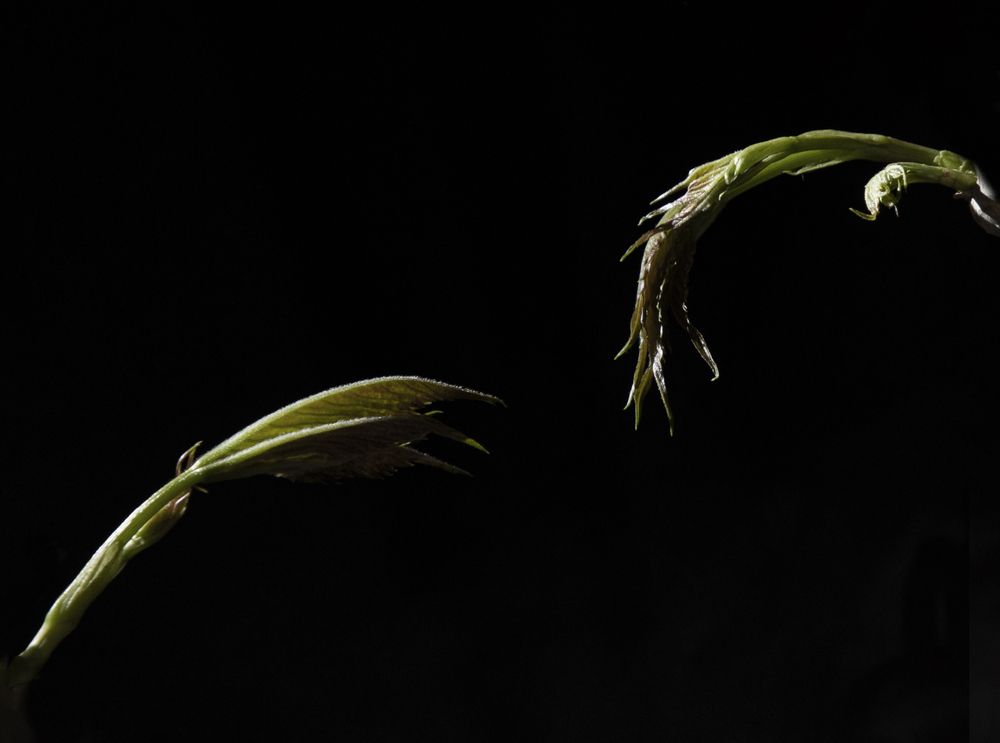 Photograph by Дарья Юсарева
