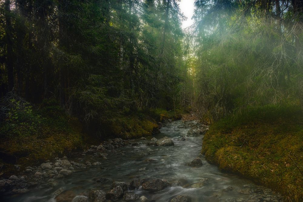 Таёжный ручей