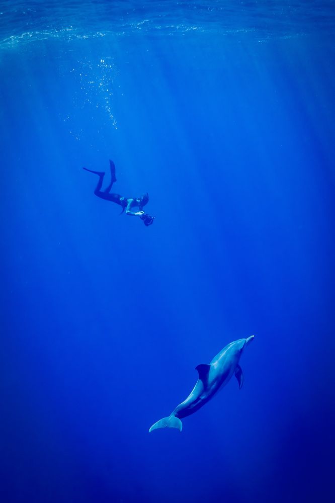 Фотография автора Go Nagai