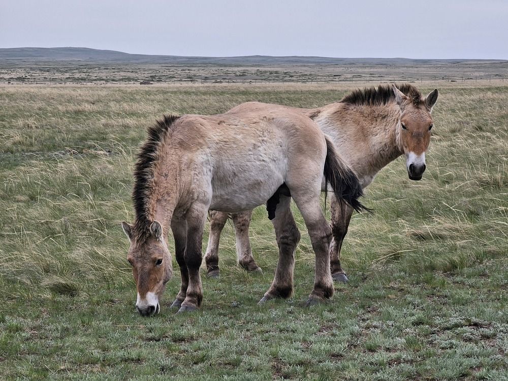 Photograph by Вадим Богатиков