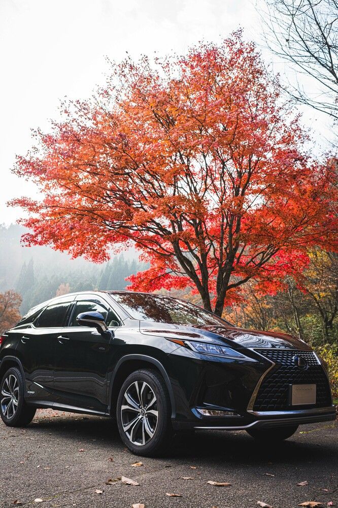 Фотография автора Go Nagai