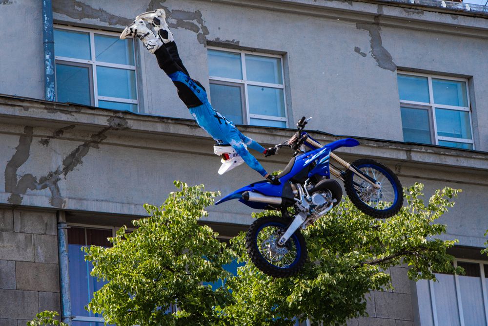 Фотография автора Борисова Мария