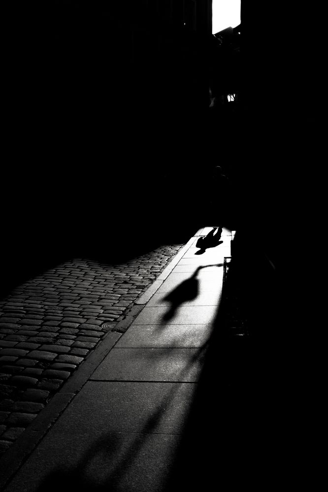 Photograph by Nikolay Surovtsev