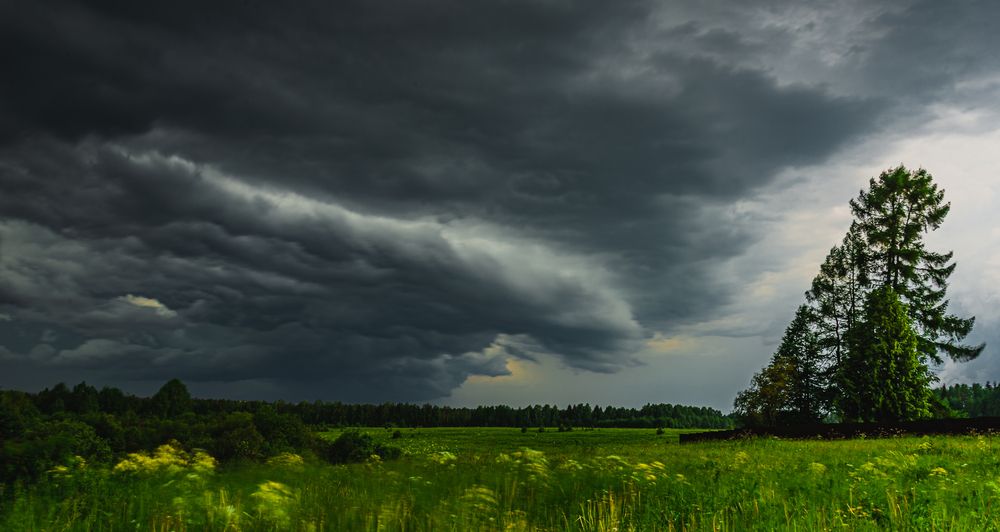 Photograph by Кокорин Алексей