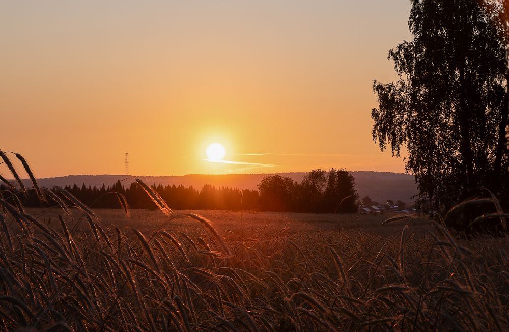 Photograph by Светлана Ващенко