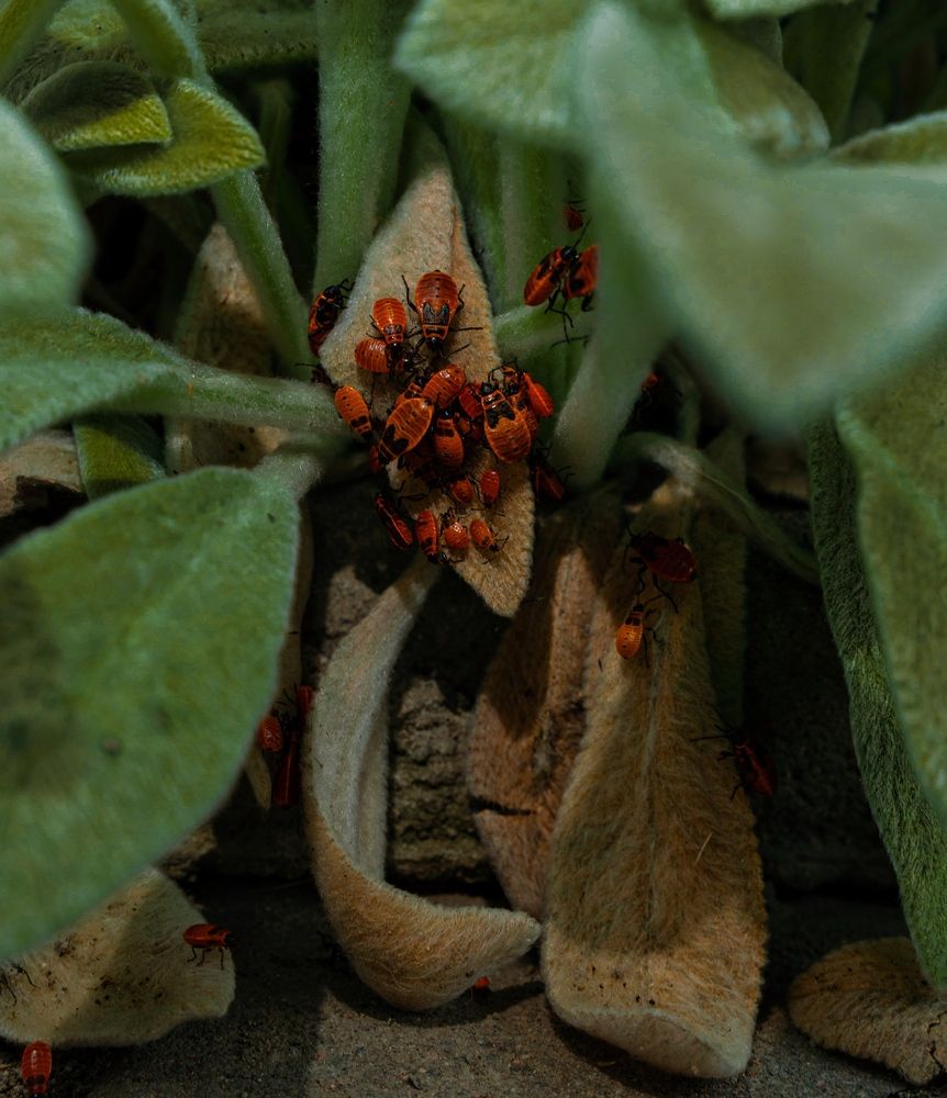 Фотография автора Кристина Тяттэ