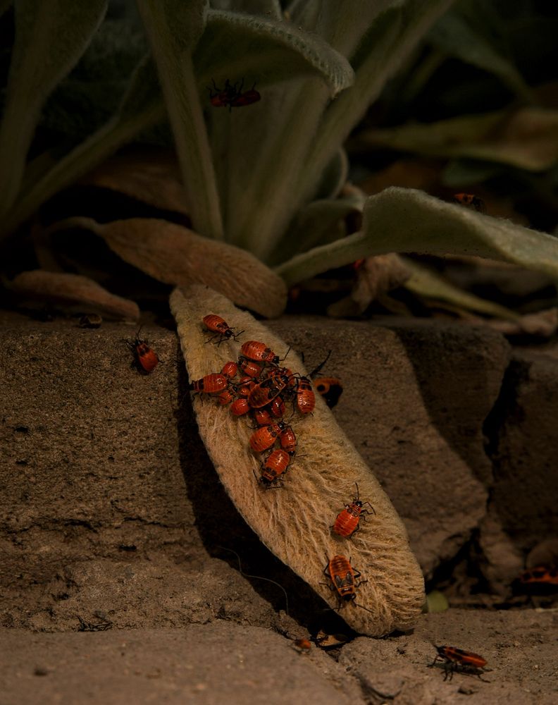 Фотография автора Кристина Тяттэ