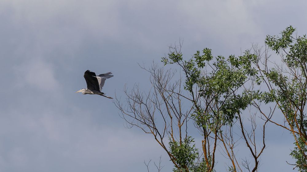 Photograph by Загруев Михаил