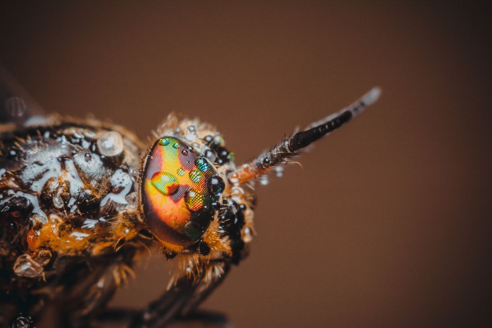 Photograph by Максим Юрлов