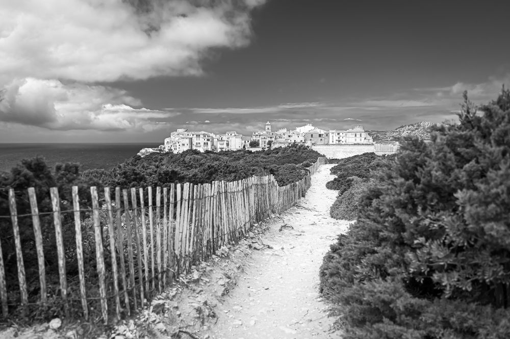 Фотография автора Michel PACHOT