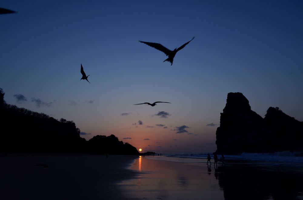 Фотография автора ERIKA BEUX