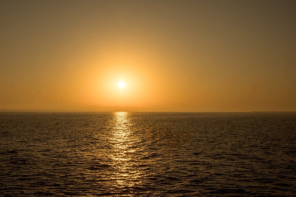 Photograph by Марина Суздаль