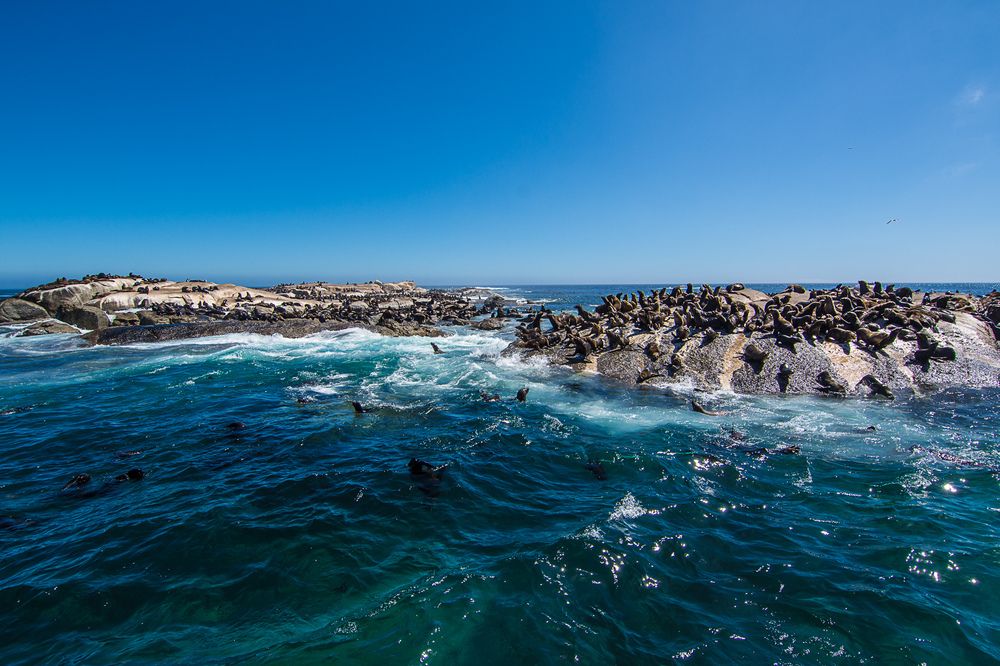 Фотография автора ERIKA BEUX