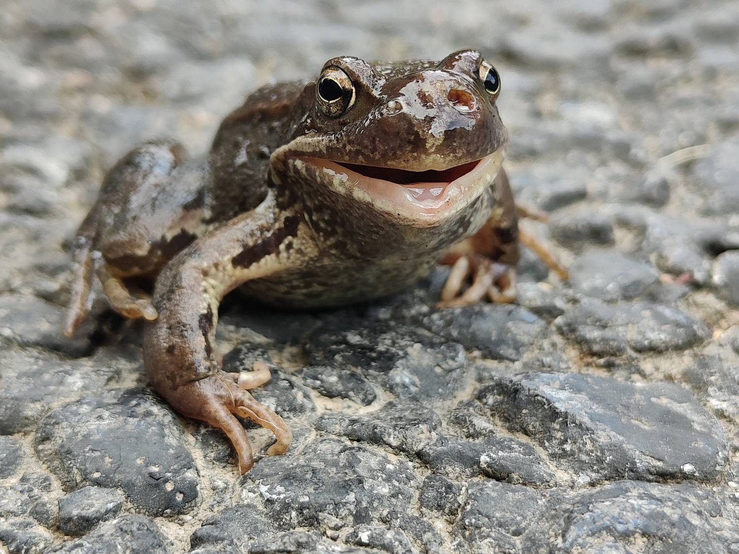 Ослепительная улыбка Ослепительная улыбка