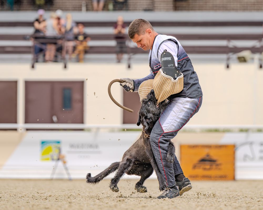 Фотография автора Сергей Жиркевич