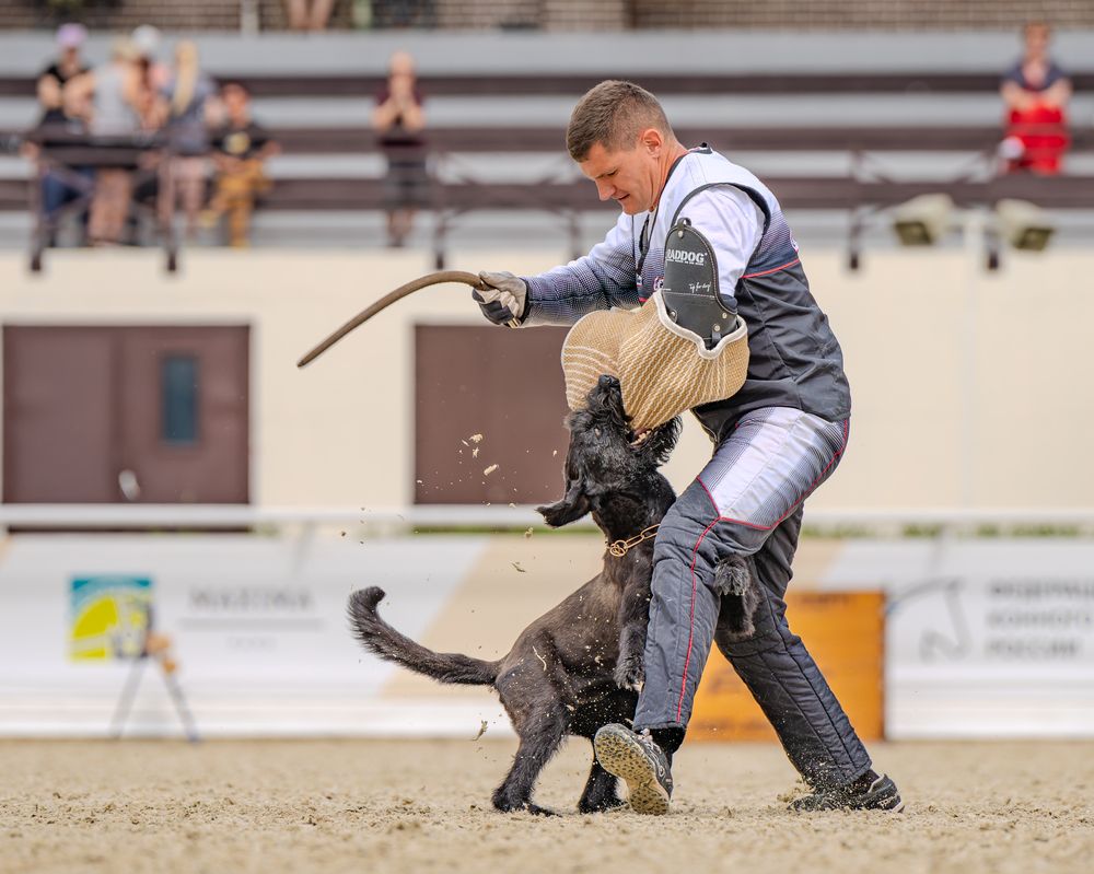 Photograph by Сергей Жиркевич