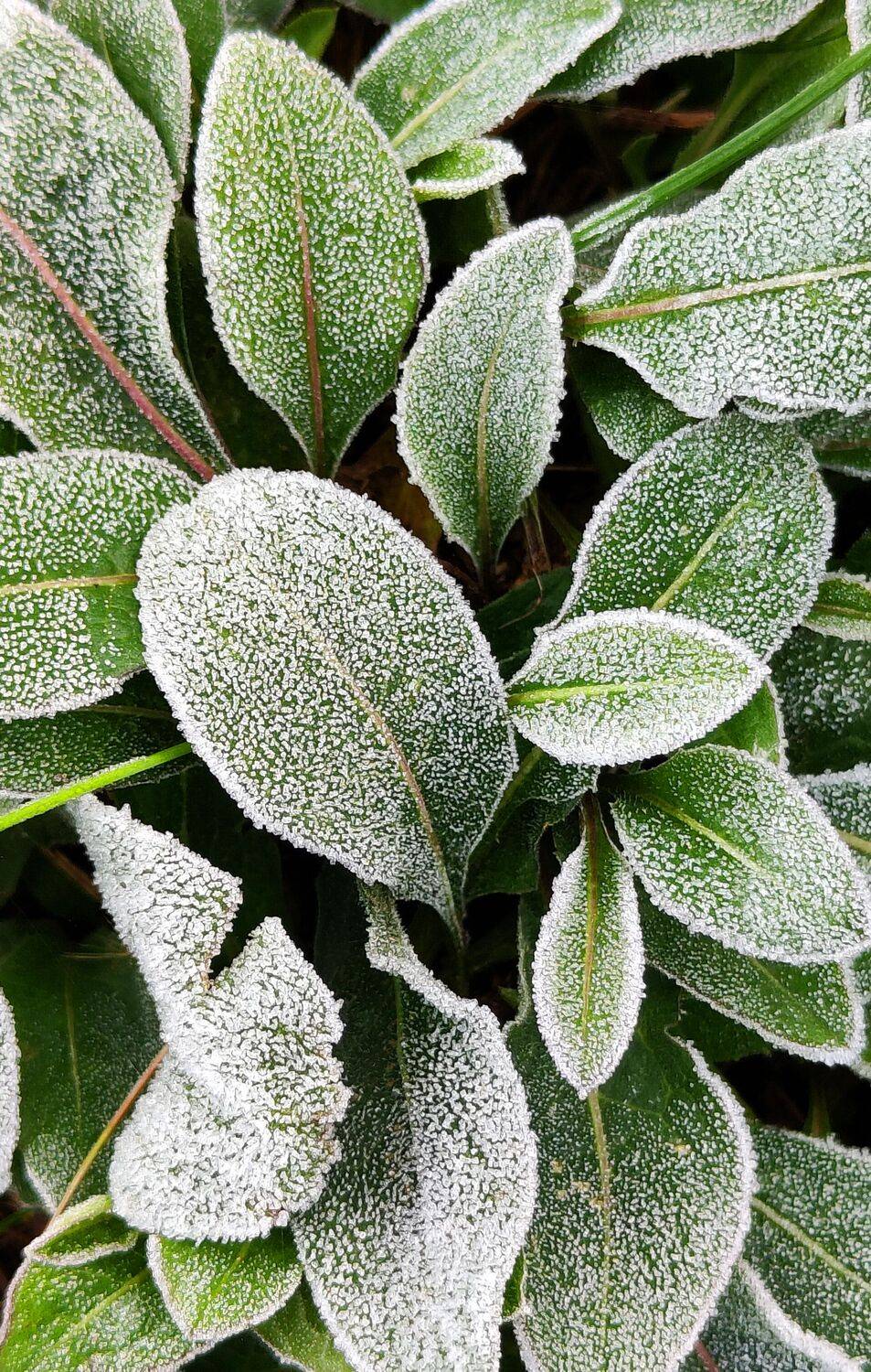 Фотография #12278243