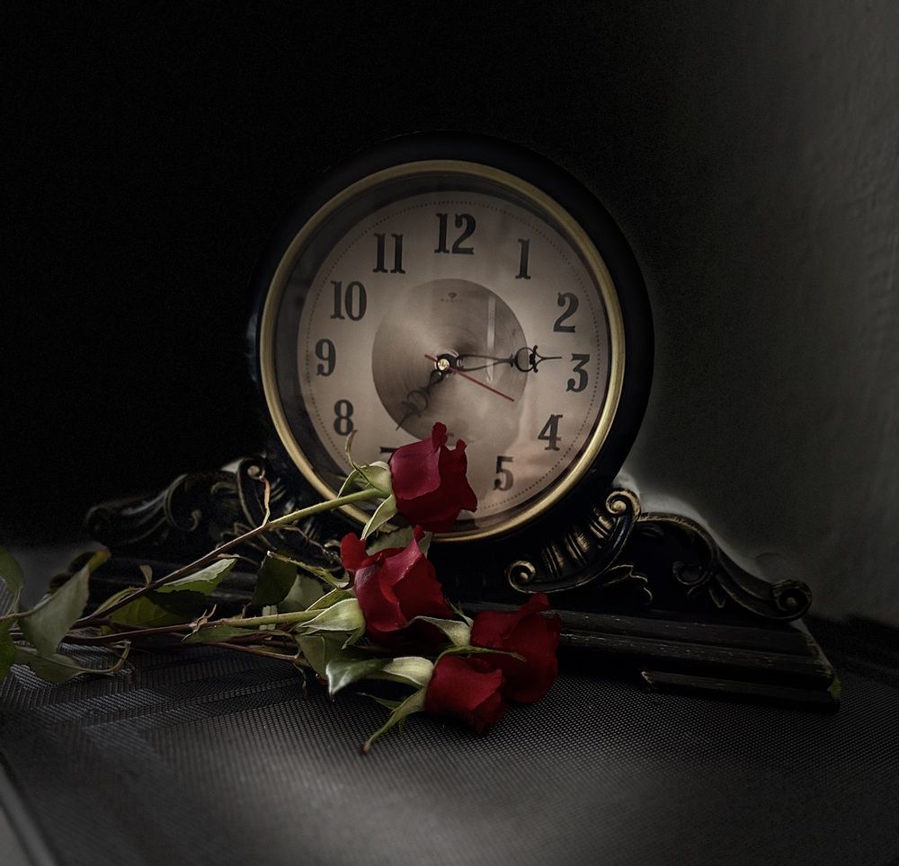 Photograph by Бойкова Наталия