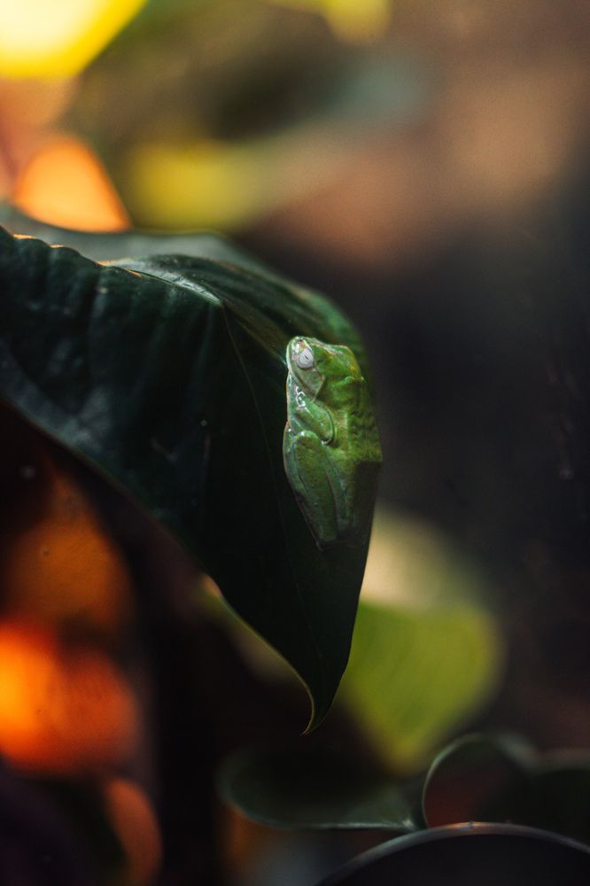 Photograph by Hanna Grochowicka