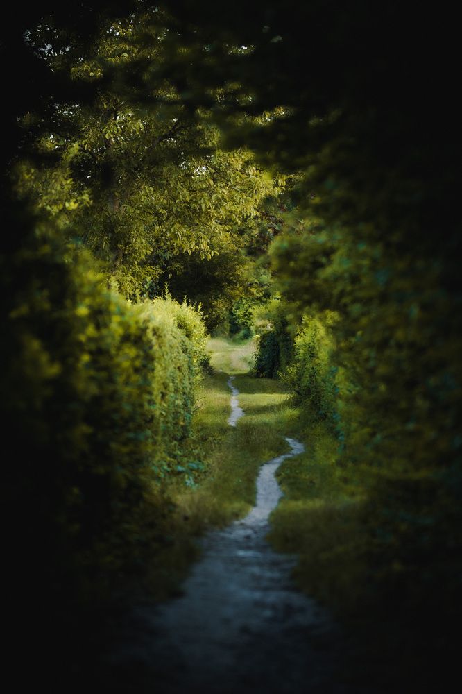 Photograph by Hanna Grochowicka