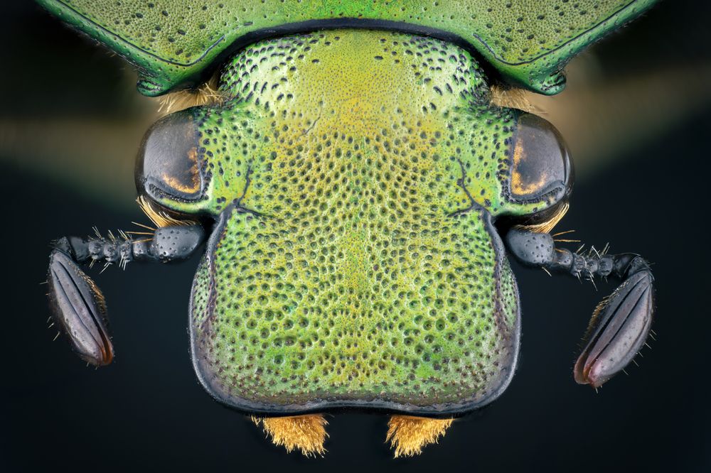 Фотография автора Jose Contreras