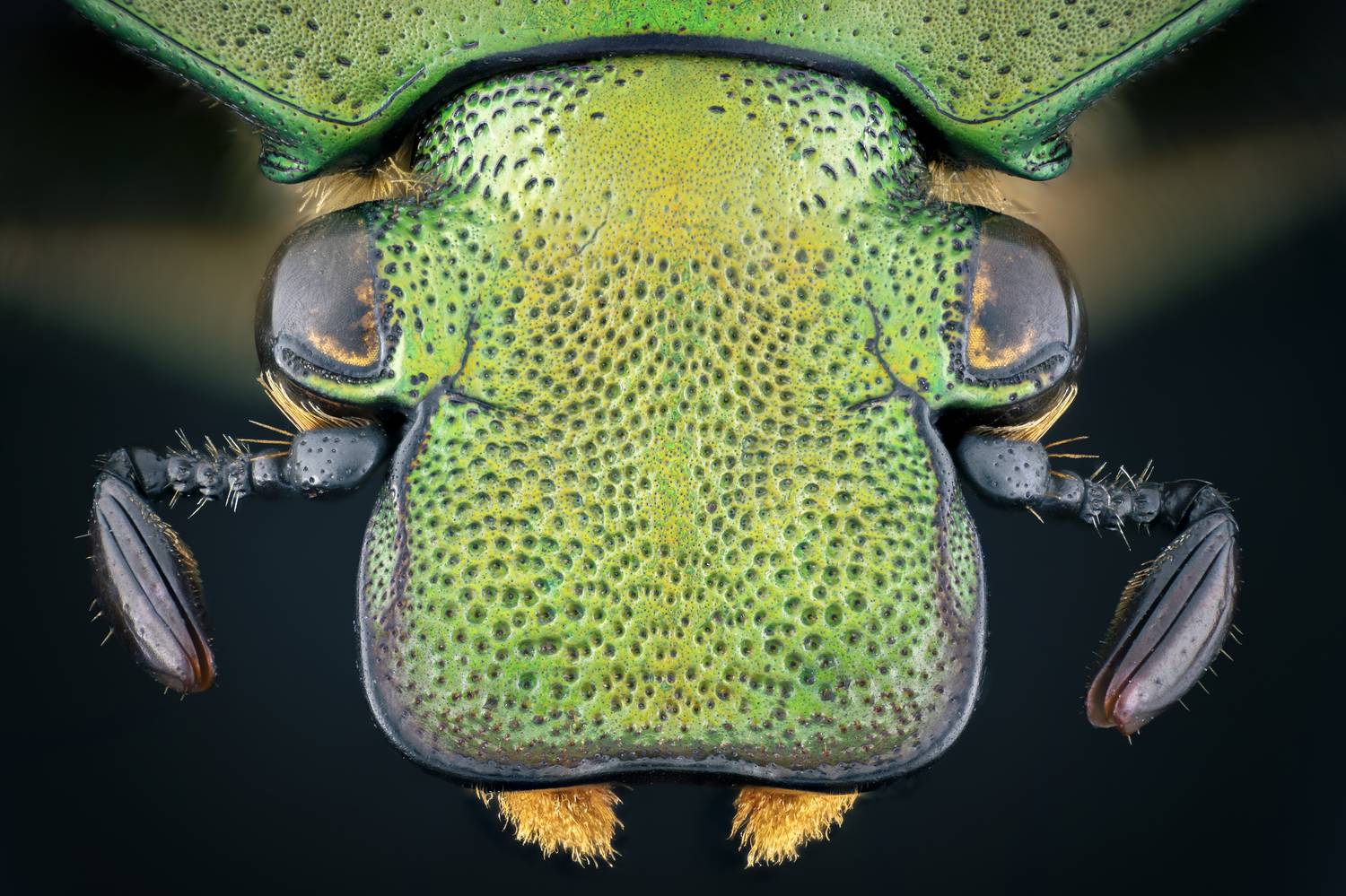 Фотография #12278349